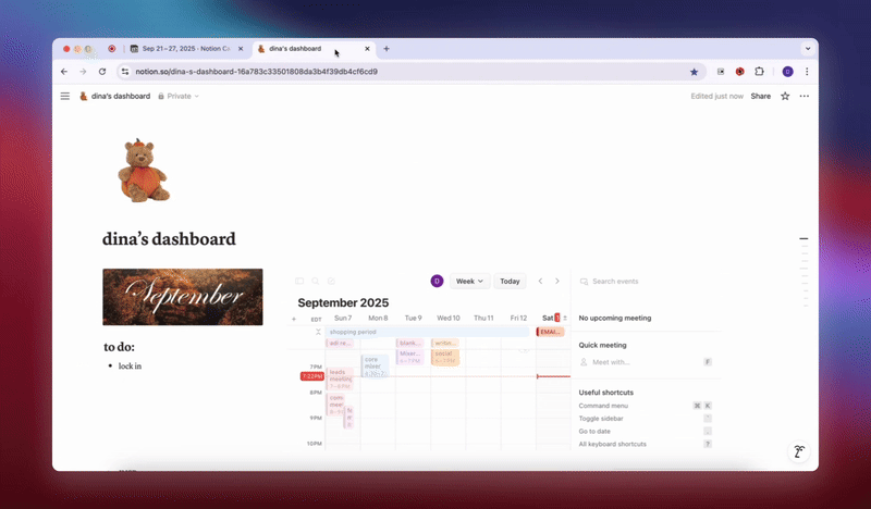 Notion Toggle preview